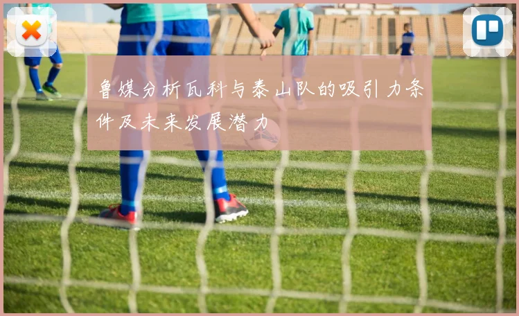 鲁媒分析瓦科与泰山队的吸引力条件及未来发展潜力