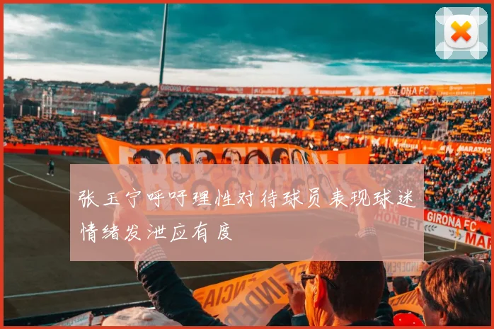 张玉宁呼吁理性对待球员表现球迷情绪发泄应有度