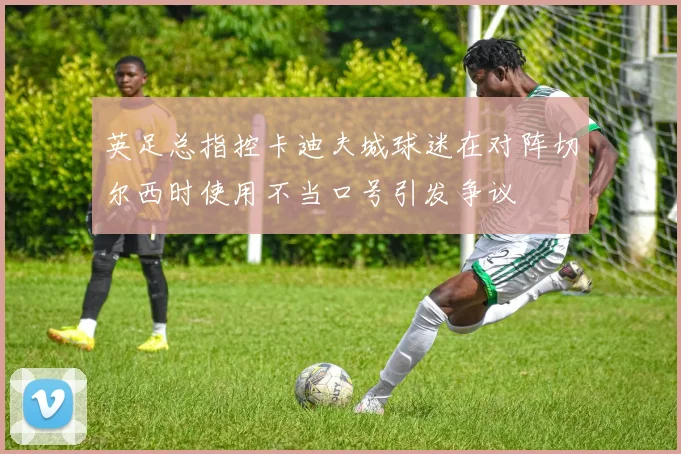 英足总指控卡迪夫城球迷在对阵切尔西时使用不当口号引发争议