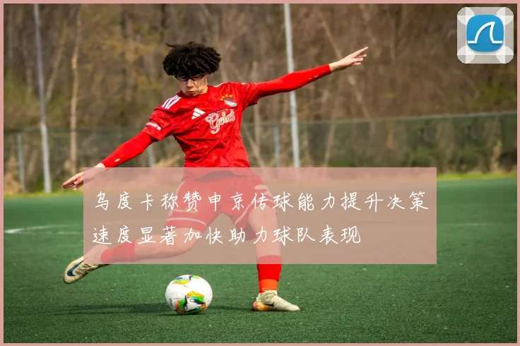 乌度卡称赞申京传球能力提升决策速度显著加快助力球队表现